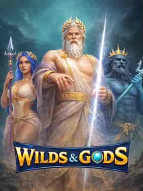 smartsoft/wildsandgods
