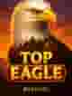 Top Eagle