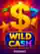 Wild Cash