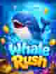 Whale Rush
