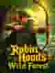 Robin Hoods Wild Forest